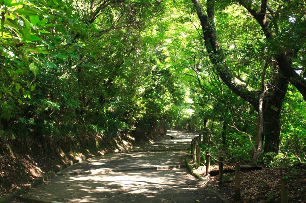 🏯 시로야마 공원 (다테야마 성) 이미지 3